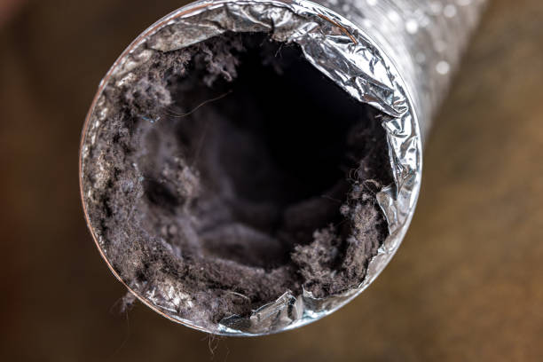 Best Commercial Air Duct Cleaning  in Elephant Butte, NM